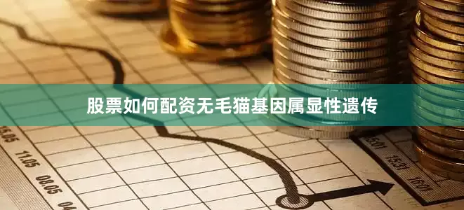 股票如何配资无毛猫基因属显性遗传