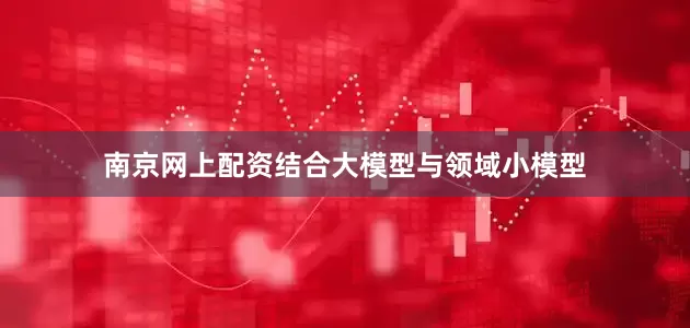 南京网上配资结合大模型与领域小模型