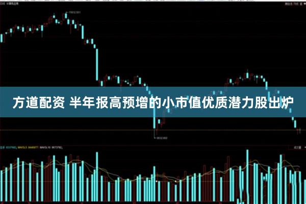 方道配资 半年报高预增的小市值优质潜力股出炉
